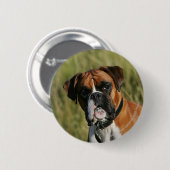 Badge Rond 5 Cm Chien de boxeur regardant fixement (Devant & derrière)