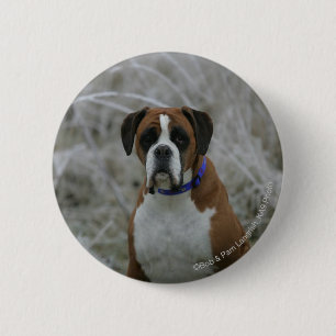 Badge Rond 5 Cm Chien de boxeur se reposant dans le Frost