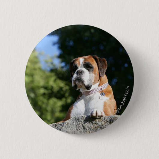 Badge Rond 5 Cm Chien de boxeur s'étendant sur une roche (Devant)