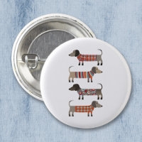 Chien de saucisse Dachshund