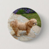 Badge Rond 5 Cm Chien Lhasa Apso dans un jardin (Devant)