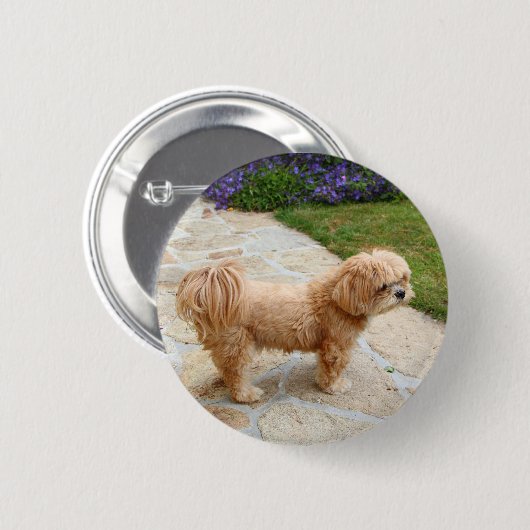 Badge Rond 5 Cm Chien Lhasa Apso dans un jardin (Devant & derrière)