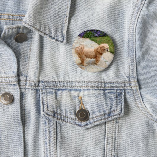 Badge Rond 5 Cm Chien Lhasa Apso dans un jardin (En situation)