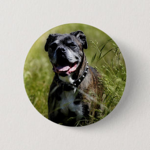 Badge Rond 5 Cm Chien mignon dans l'herbe