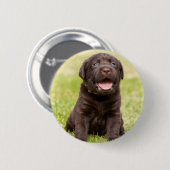 Badge Rond 5 Cm Chien mou de chiot (Devant & derrière)