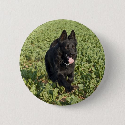 Badge Rond 5 Cm Chien noir (Devant)