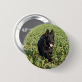 Badge Rond 5 Cm Chien noir (Devant & derrière)