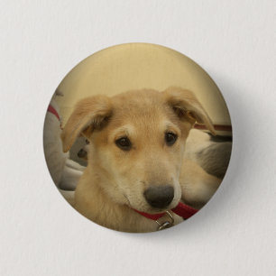 Badge Rond 5 Cm Chiens mignons et Chiens de marionnettes Mans deux