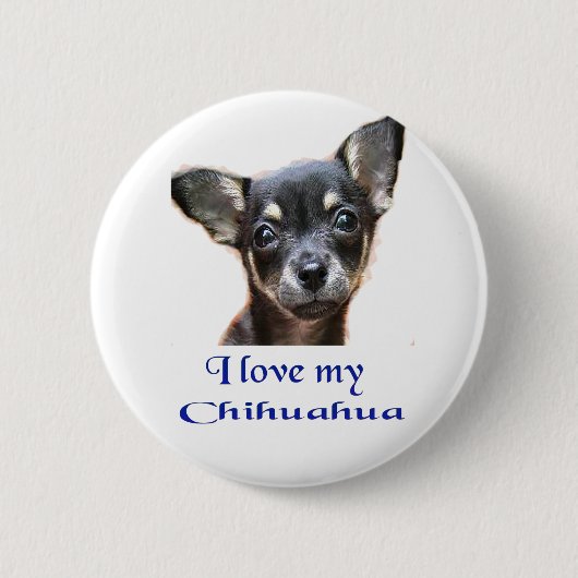 Badge Rond 5 Cm Chihuahua (Devant)
