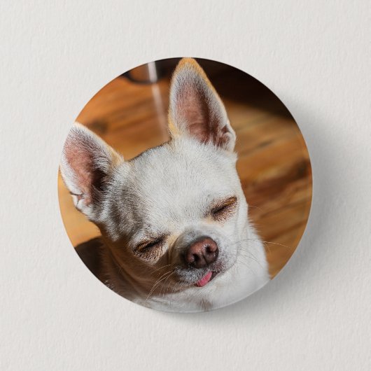 Badge Rond 5 Cm Chihuahua somnolent squint langue détendue dehors  (Devant)