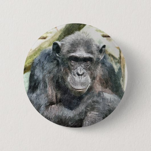 BADGE ROND 5 CM CHIMPANZÉS (Devant)