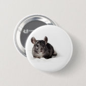 Badge Rond 5 Cm Chinchilla gris mignon dans la couverture (Devant & derrière)