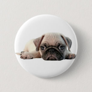 Badge Rond 5 Cm chiot adorable de carlin