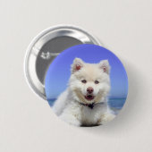 Badge Rond 5 Cm Chiot blanc Husky avec yeux bleus (Devant & derrière)