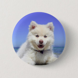 Badge Rond 5 Cm Chiot blanc Husky avec yeux bleus