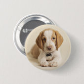 Badge Rond 5 Cm Chiot de beagle (Devant & derrière)