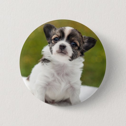 Badge Rond 5 Cm Chiot de chiwawa (Devant)