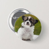 Badge Rond 5 Cm Chiot de chiwawa (Devant & derrière)