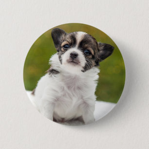 Badge Rond 5 Cm Chiot de chiwawa
