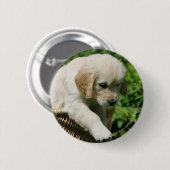 Badge Rond 5 Cm Chiot de golden retriever dans le panier (Devant & derrière)
