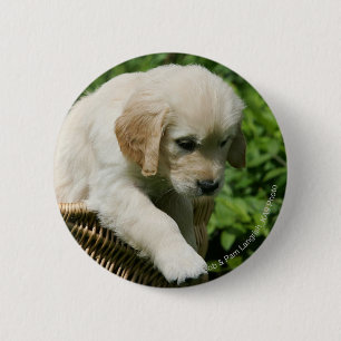 Badge Rond 5 Cm Chiot de golden retriever dans le panier