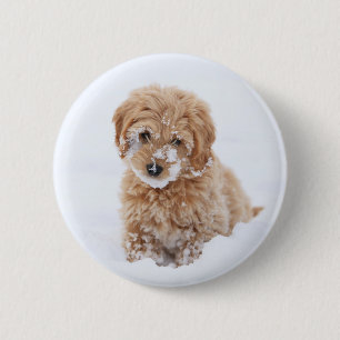 Badge Rond 5 Cm Chiot De Goldendoodle Avec La Neige À La Face