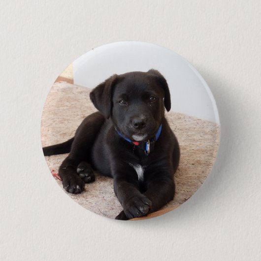 Badge Rond 5 Cm Chiot de récupération Black Labrador (Devant)