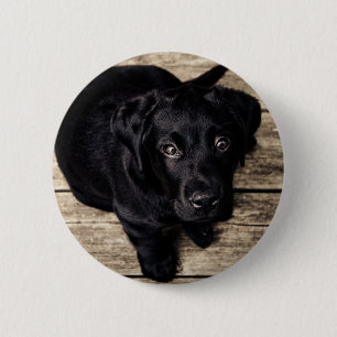 Badge Rond 5 Cm Chiot de récupération du Labrador noir sur bois