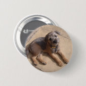 Badge Rond 5 Cm Chiot de Terrier de frontière (Devant & derrière)