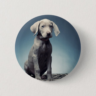 Badge Rond 5 Cm Chiot de Weimaraner
