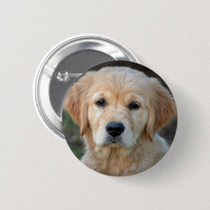 Badge Rond 5 Cm Chiot Golden Retriever