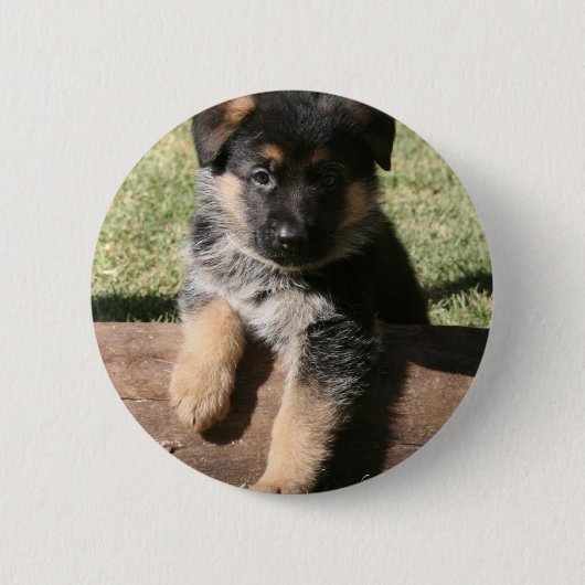 Badge Rond 5 Cm Chiot "grands maximum " allemand de berger (Devant)