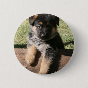 Badge Rond 5 Cm Chiot "grands maximum " allemand de berger