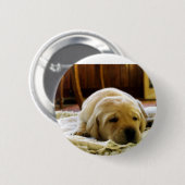 Badge Rond 5 Cm chiot jaune 2 labo (Devant & derrière)