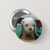 Badge Rond 5 Cm chiot maltais (Devant & derrière)