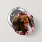 Badge Rond 5 Cm chiot miniature Lisse-haired de teckel (Devant & derrière)