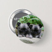 Badge Rond 5 Cm Chiots aux cheveux longs de chiwawa (Devant & derrière)