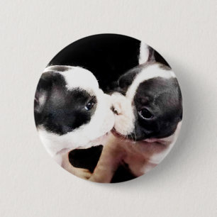 Badge Rond 5 Cm Chiots de bouledogue français