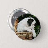Badge Rond 5 Cm Chiots de boxeur dans le panier (Devant & derrière)
