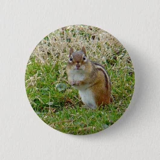 Badge Rond 5 Cm Chipmunk oriental (Devant)