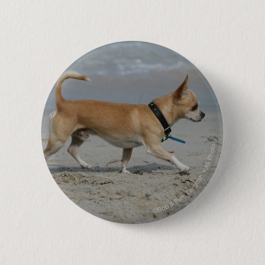 Badge Rond 5 Cm Chiwawa sur la plage (Devant)