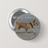 Badge Rond 5 Cm Chiwawa sur la plage (Devant & derrière)