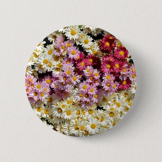 Badge Rond 5 Cm Choc de chrysanthèmes (Devant)