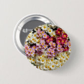Badge Rond 5 Cm Choc de chrysanthèmes (Devant & derrière)