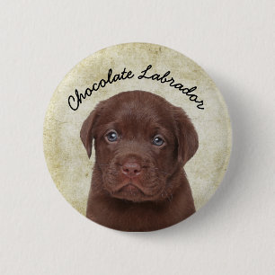 Badge Rond 5 Cm Chocolat Labrador
