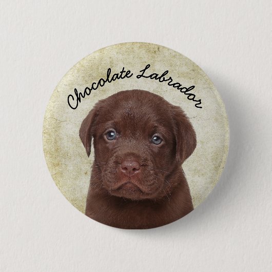 Badge Rond 5 Cm Chocolat Labrador (Devant)