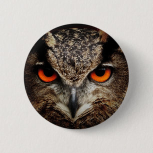 Badge Rond 5 Cm Chouette
