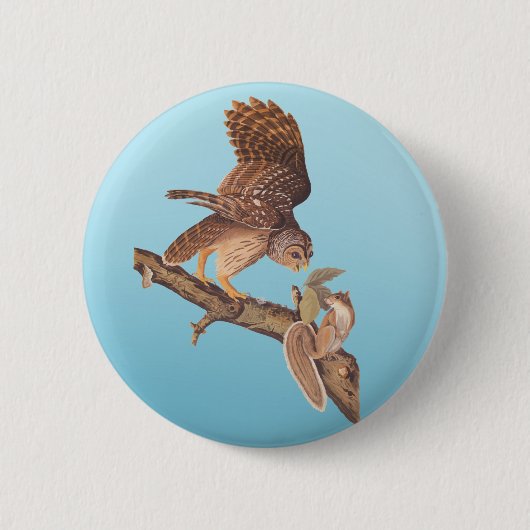 Badge Rond 5 Cm Chouette barrée d'Audubon et heureux amis des écur (Devant)