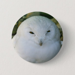 Badge Rond 5 Cm Chouette des neiges