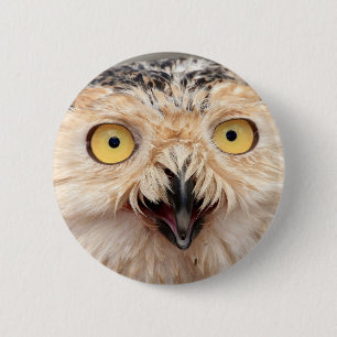 Badge Rond 5 Cm Chouette des neiges